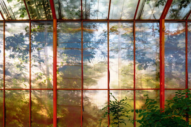 istock calming influence of nature 1284089359