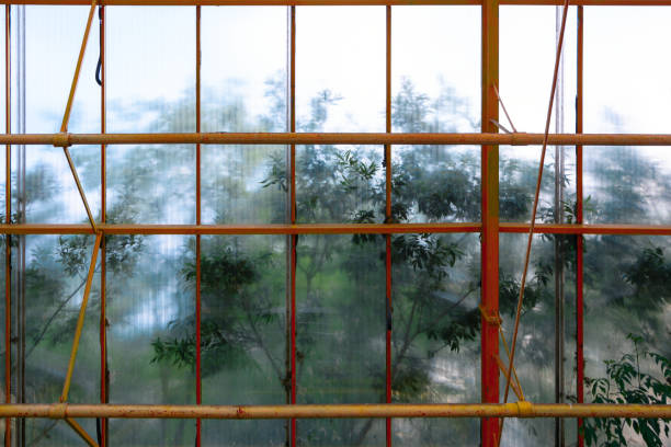 istock calming influence of nature 1284089472