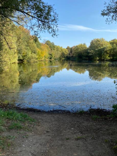 istock landscape nature greenery and water 1284091085