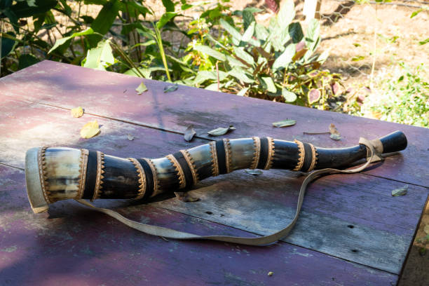 Berrante, kind of trumpet made with cow horns primer plano de cuerno soplado a mano, berrante, de pantanal. el instrumento rústico se utiliza para soplar fuertes sonidos de advertencia por parte de los vaqueros para llevar ganado en brasil. concepto de vaquero, instrumento, cultura.