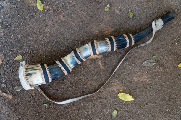Berrante, kind of trumpet made with cow horns primer plano de cuerno soplado a mano, berrante, de pantanal. el instrumento rústico se utiliza para soplar fuertes sonidos de advertencia por parte de los vaqueros para llevar ganado en brasil. concepto de vaquero, instrumento, cultura.
