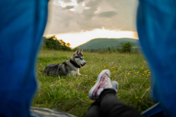 istock personal perspective of hiker in his tent resting 1284092795