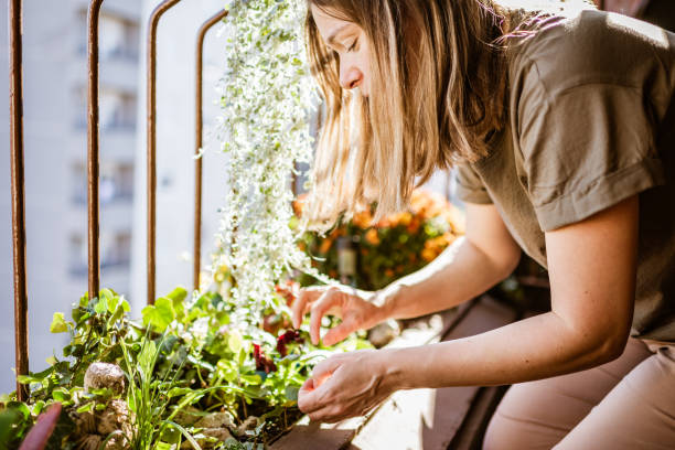 istock Woman enjoying gardening on a terrace 1284095651