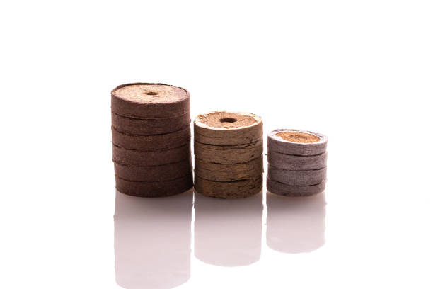 istock Stacks of seedling peat tablets isolated on white background 1284096490