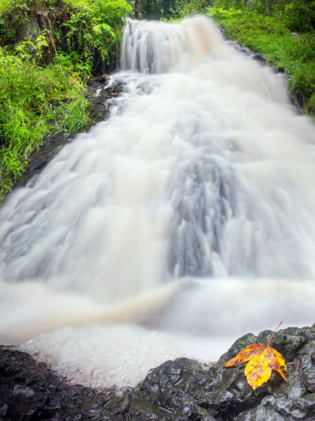 istock Colorful leaves caught in mountain stream 1284096564