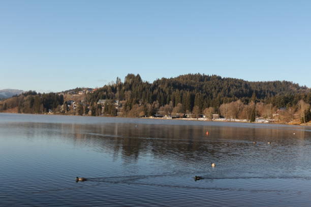 istock Winter Day at Titisee in the Black Forest 1284097790