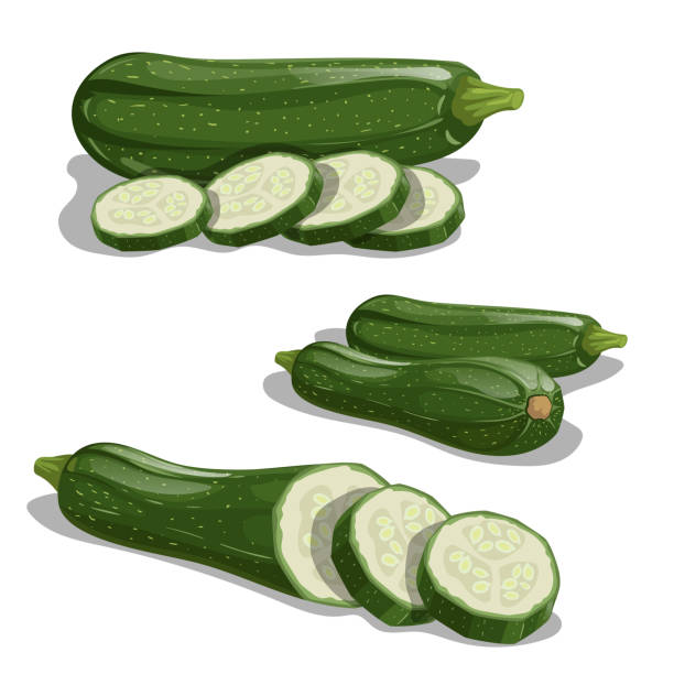 ilustrações de stock, clip art, desenhos animados e ícones de zucchini set. whole vegetable, cut, single and group.  farm fresh veggies ready for cook. vector illustrations isolated on white background. - zucchini