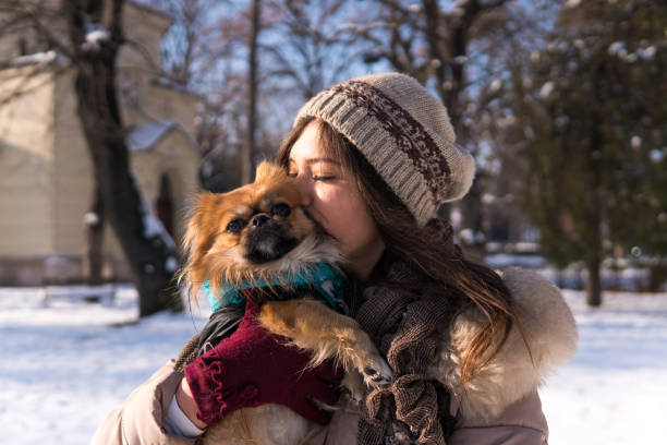 istock Young woman holding pekingese dog 1284099423