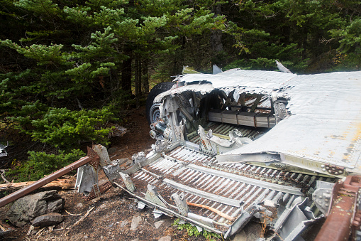 The wreckage of a crashed B-17 Flying Fortress on the side of a mountain in Olympic National Forest (Washington).