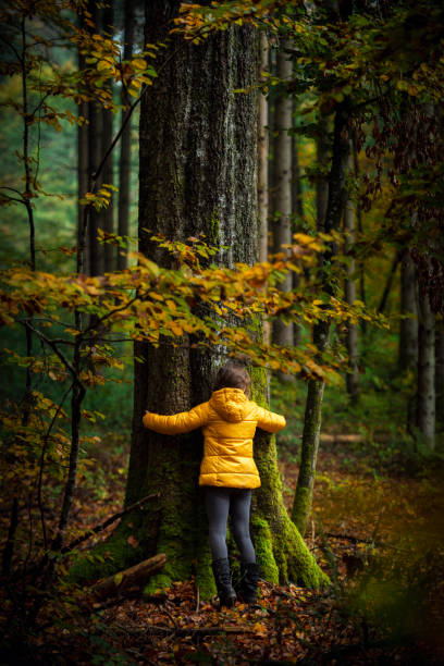 jovem abraça uma velha árvore de faia - calming down - fotografias e filmes do acervo