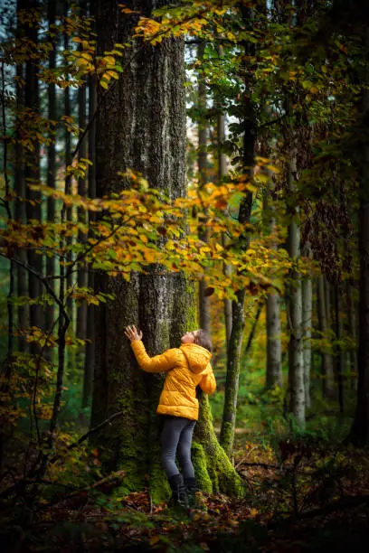 Germany, Bavaria. Young girl hugs an old beech tree in autumn forest.
