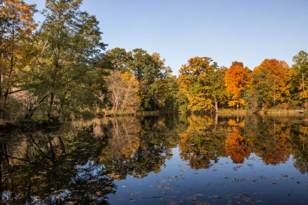 istock Autumn colors in the park 1284101153