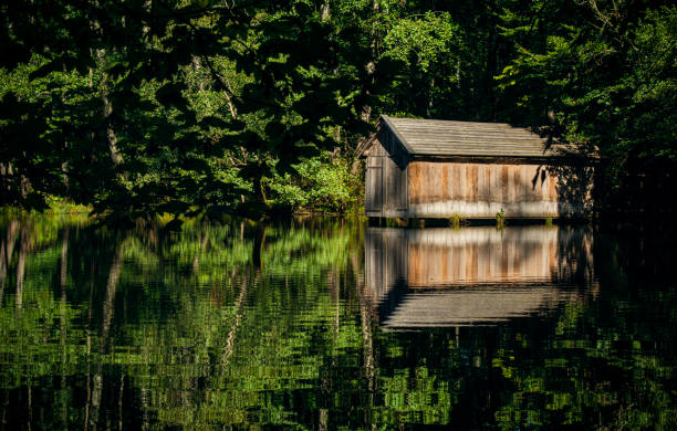 istock Small boat house at an austrian lake in a forest 1284102135