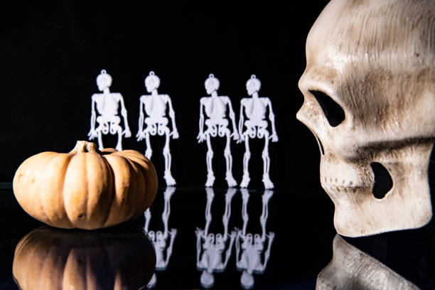 mockups of human skeletons and skulls on a black background on a reflective table