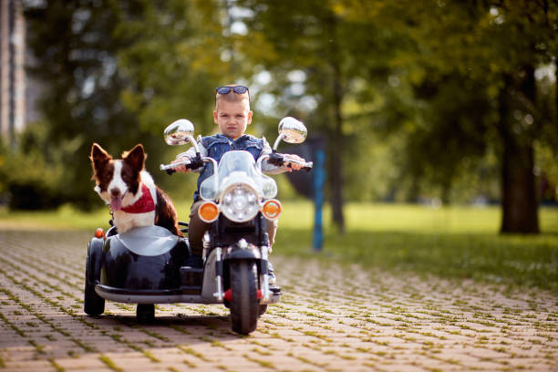 istock Little boy driving a toy motorcycle with his dog 1284103707