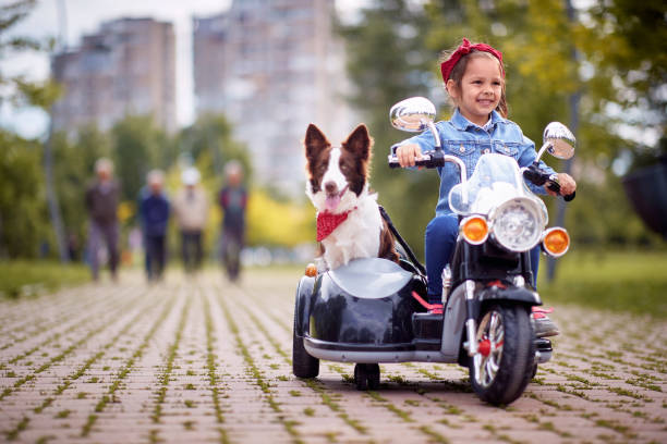 Happy little girl driving in a toy motocycle Happy little girl driving a toy motorcycle with her dog sidecar photos stock pictures, royalty-free photos & images