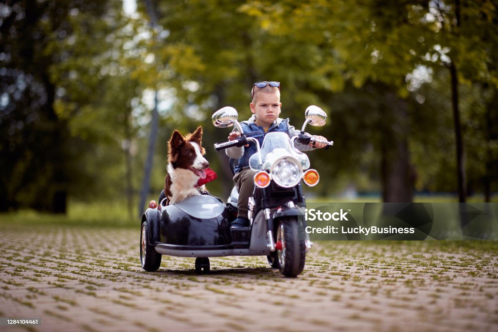 Little boy driving a toy motorcycle with his dog Little boy driving a toy motorcycle with his dog in a park Dog Stock Photo