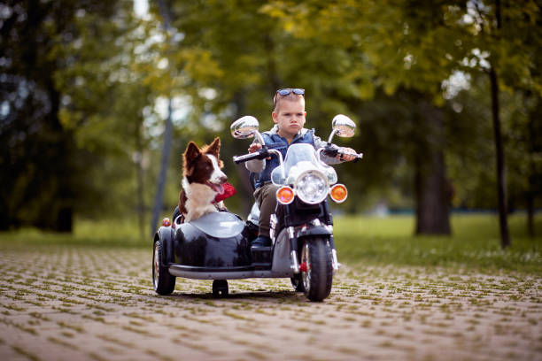 Little boy driving a toy motorcycle with his dog Little boy driving a toy motorcycle with his dog in a park sidecar photos stock pictures, royalty-free photos & images