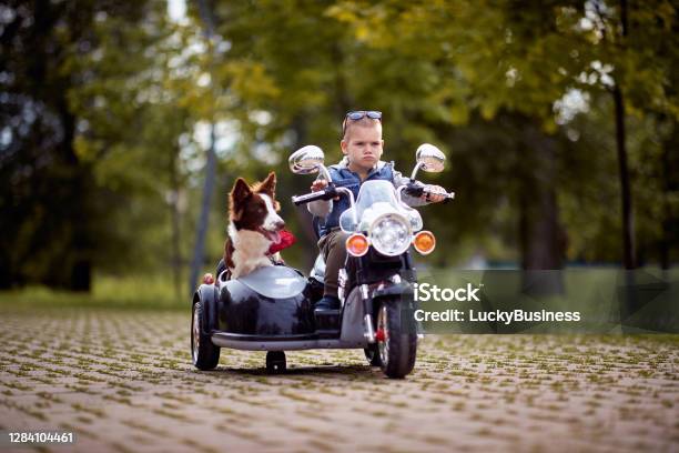 Little Boy Driving A Toy Motorcycle With His Dog Stock Photo - Download Image Now - Dog, Sidecar, Motorcycle