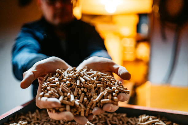 istock Wood pellets in hands 1284107108