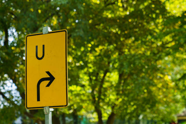 Yellow rectangular road bypass sign against the background of tree foliage. Close-up.