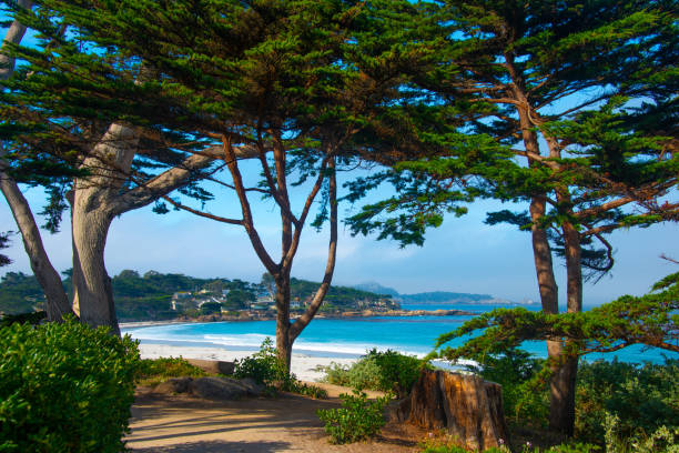Beach Scene in Morning-Carmel,  California stock photo