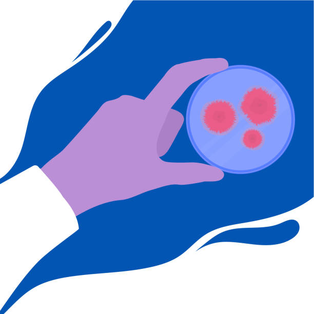 Petri dish with mold culture in the hand of a scientist Scientist in a glove holding a petri dish with mold fungi. Moss culture for microbiology research tests in the chemical laboratory. Biotechnology science lab equipment. Vector illustration. microbiology illustrations stock illustrations