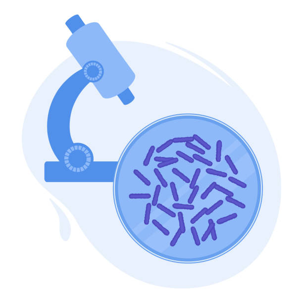 ilustraciones, imágenes clip art, dibujos animados e iconos de stock de bacterias microscópicas en un póster médico de plato de petri - petri dish bacterium virus laboratory