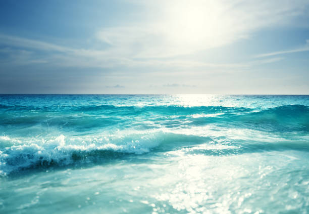 istock seychelles beach in sunset time, tilt shift effect 1284112674