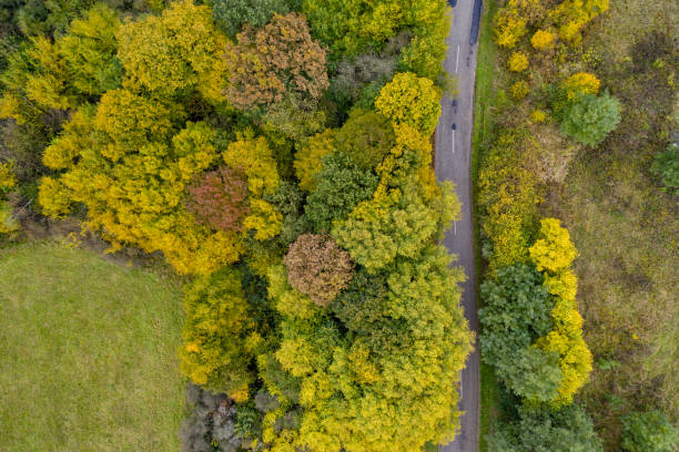 istock road drone view in autumn 1284113159