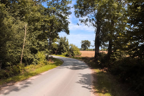 istock Beautiful view on countryside roads with fields and trees during autumn 1284114381