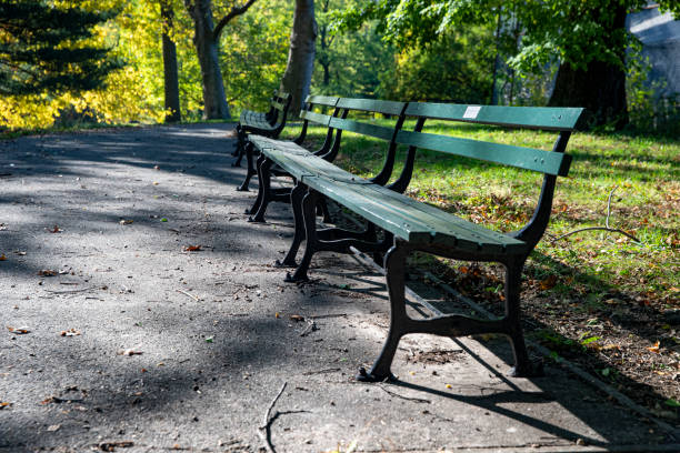 istock A lonely park bench n the North Meadows of Central Park 1284115565