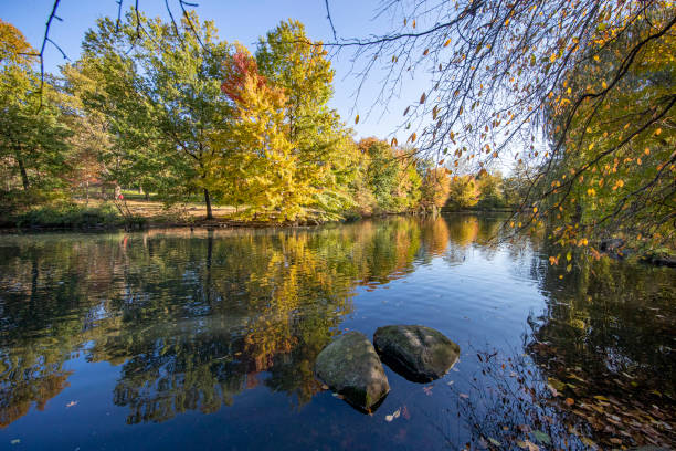 istock Trees reflect off the Pool in Central Park 1284116170