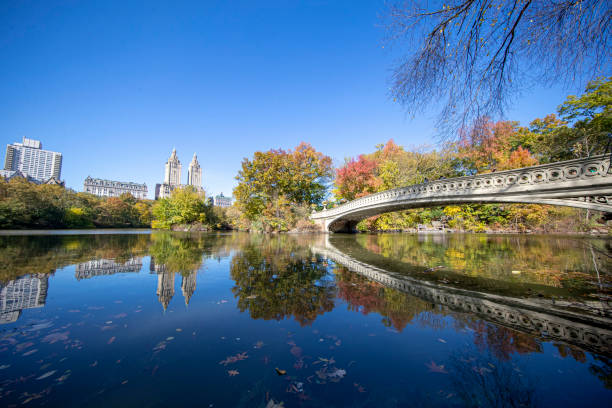 istock The Bow Bridge over the Lake in Central Park 1284116272