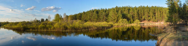 istock Spring panorama of the protected forest river. 1284118735