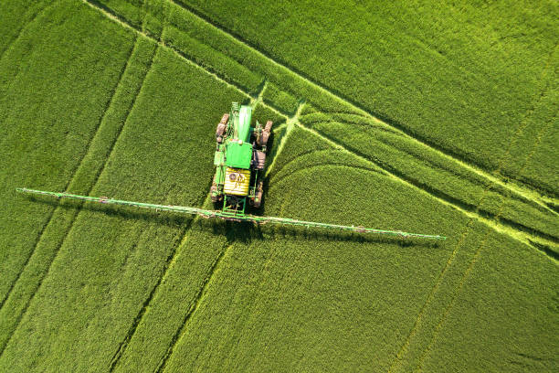 трактор распыления химических пестицидов с опрыскиватель на большом зеленом сельскохозяйственном поле весной. - spraying crop sprayer farm agriculture стоковые фото и изображения