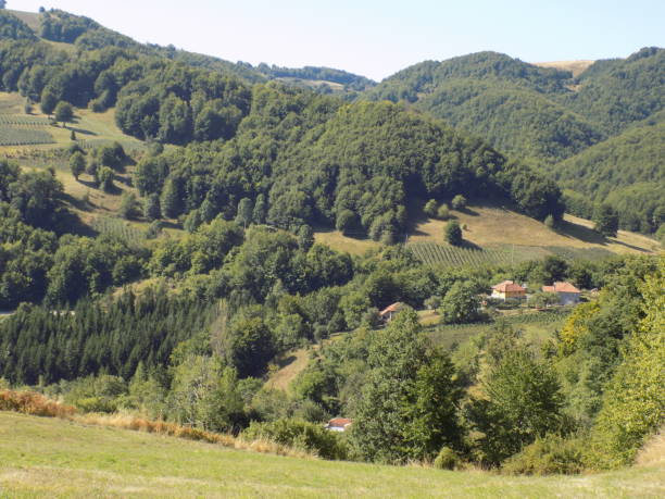 istock Small mountain village in the valley 1284125099