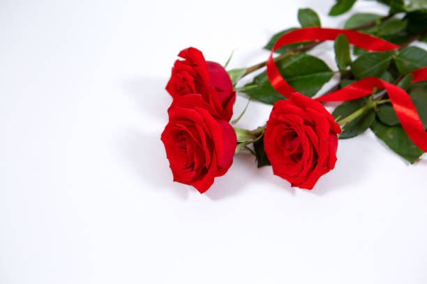 istock Bright red roses with large blooming buds lie on a white isolated background 1284128110
