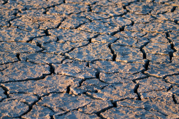 istock Close up texture background of the takir soil 1284128259