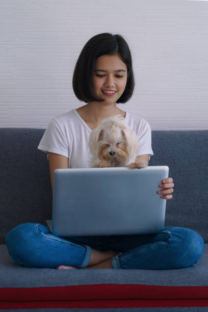 istock asian young women playing with small dog while working with laptop at home on sofa 1284129326