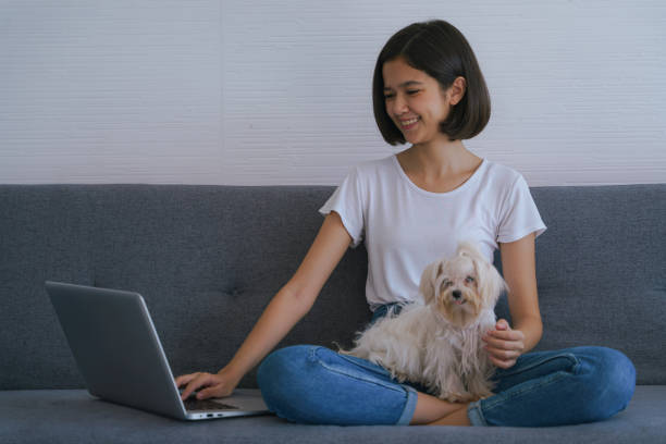 istock asian young women playing with small dog while working with laptop at home on sofa 1284129330