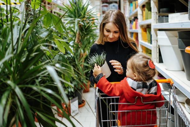 Beautiful young woman with daughter in a flower shop and choosing flowers Beautiful young woman with her daughter in a flower shop and choosing flowers. The concept of gardening and flowers. Female customer looking at potted aloe plant, shopping at home goods store, copy space flower market stock pictures, royalty-free photos & images