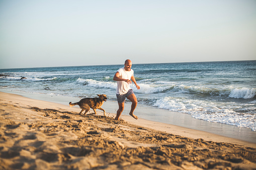 A dog and his owner are running together in the shallows. They are having fun on the beach under the open sky.