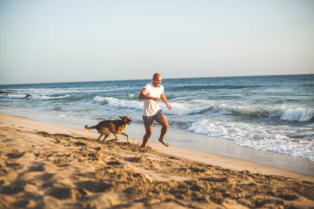 The dog is man's best friend A dog and his owner are running together in the shallows. They are having fun on the beach under the open sky. dog swimsuit stock pictures, royalty-free photos & images