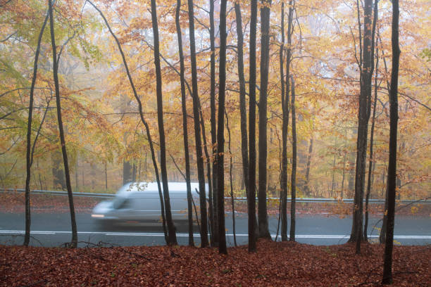Foggy, quiet, November early morning with falling and fallen late autumn leaf color leaves scattered everywhere in a calm suburban residential district neighborhood on garbage pick-up day for many residents near Rochester, New York State.