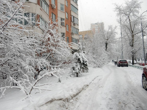 istock snow-covered trees in the winter cityscape, selective focus. 1284134010
