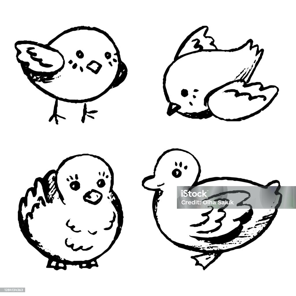 Bộ Hình Minh Họa Vẽ Tay Vector Đơn Giản Những Con Chim Nhỏ Dễ Thương Bộ Sưu  Tập Bản Vẽ Đường Viền Được Phân Lập Trên Nền Trắng Doodle Đồ Họa Phác