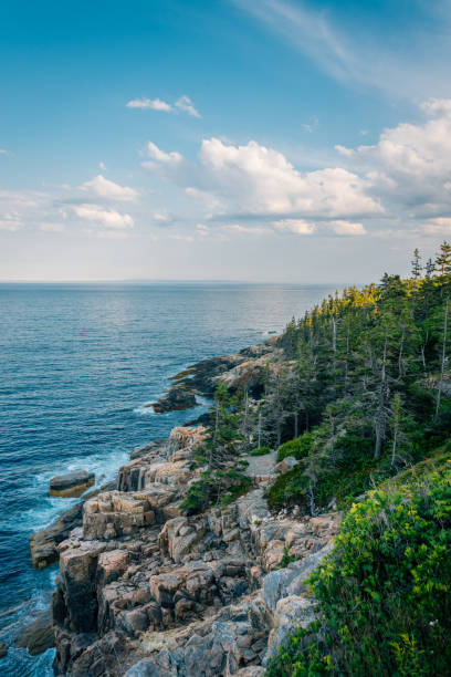 View of rocky coast and Otter Cliffs, in Acadia National Park, Maine stock photo