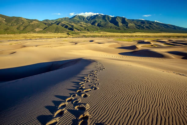 Great Sand Dunes National Park in Colorado Great Sand Dunes National Park in Colorado, United States great sand dunes national park stock pictures, royalty-free photos & images