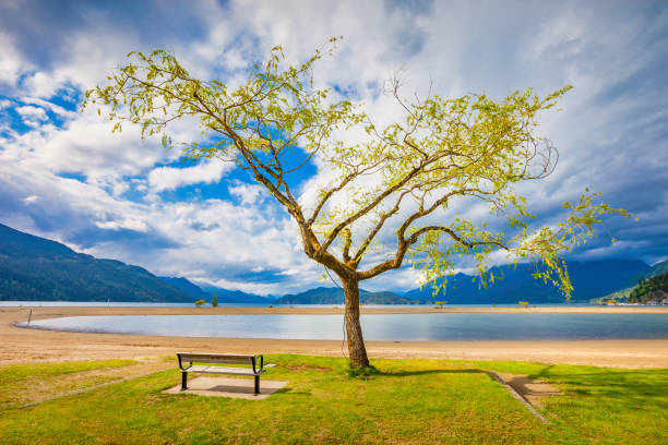 Harrison Lake in Harrison Hot Springs British Columbia Canada on a cloudy day.